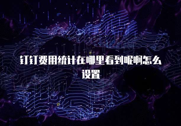 钉钉费用统计在哪里看到呢啊怎么设置