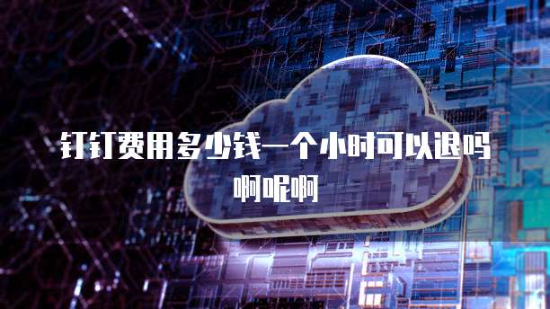钉钉费用多少钱一个小时可以退吗啊呢啊