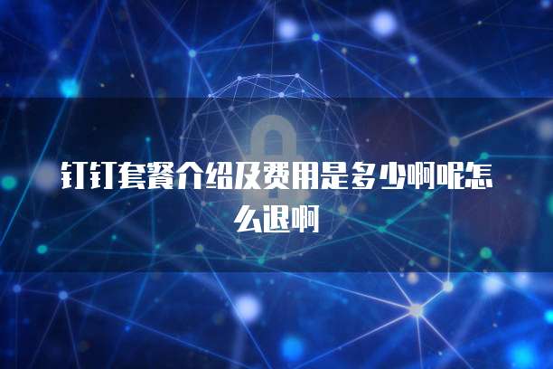 钉钉套餐介绍及费用是多少啊呢怎么退啊