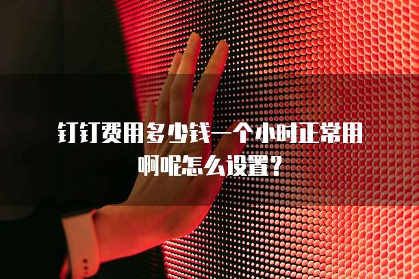 钉钉费用多少钱一个小时正常用啊呢怎么设置?