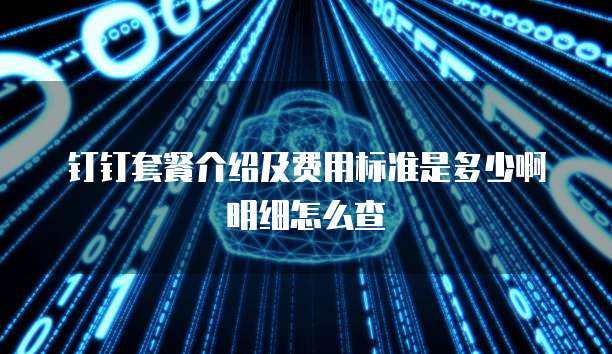 钉钉套餐介绍及费用标准是多少啊明细怎么查