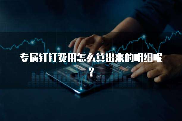 专属钉钉费用怎么算出来的明细呢?