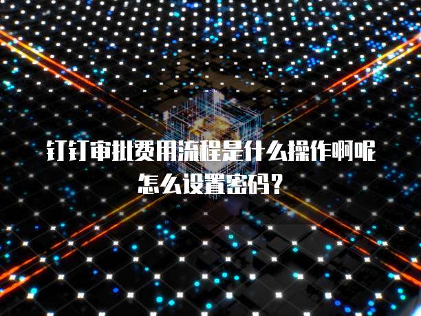 钉钉审批费用流程是什么操作啊呢怎么设置密码?