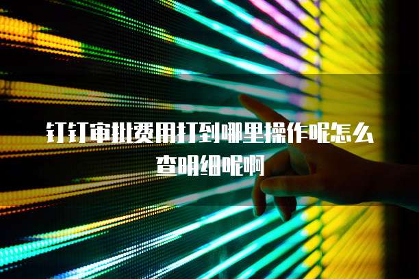 钉钉审批费用打到哪里操作呢怎么查明细呢啊