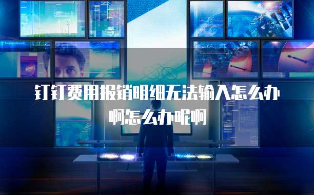 钉钉费用报销明细无法输入怎么办啊怎么办呢啊