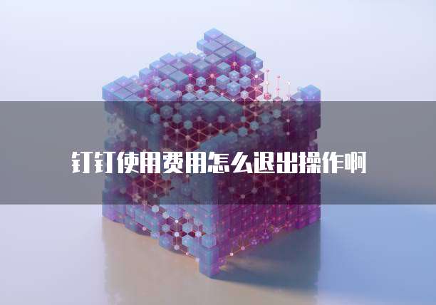 钉钉使用费用怎么退出操作啊