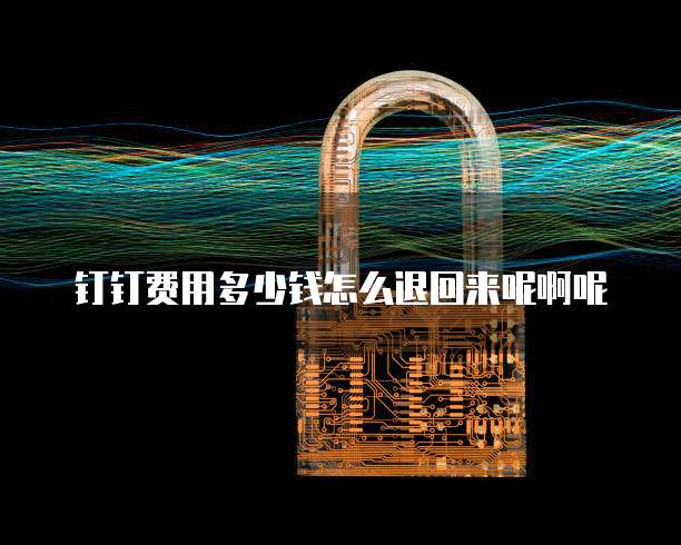 钉钉费用多少钱怎么退回来呢啊呢