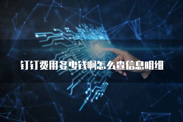 钉钉费用多少钱啊怎么查信息明细