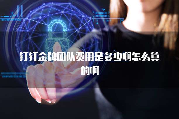 钉钉金牌团队费用是多少啊怎么算的啊