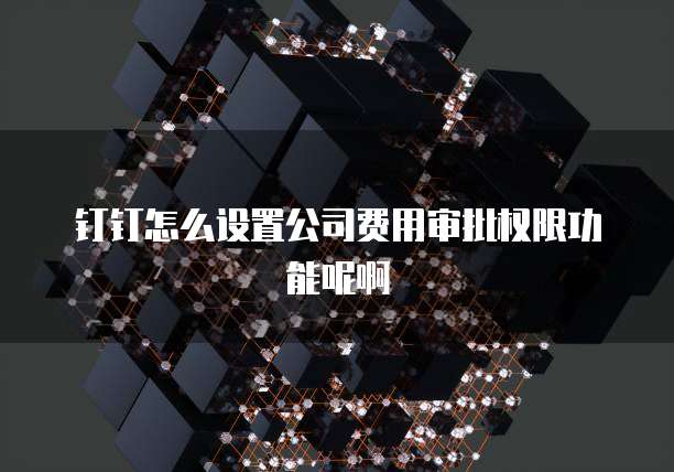 钉钉怎么设置公司费用审批权限功能呢啊