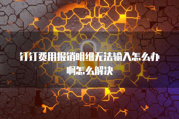 钉钉费用报销明细无法输入怎么办啊怎么解决
