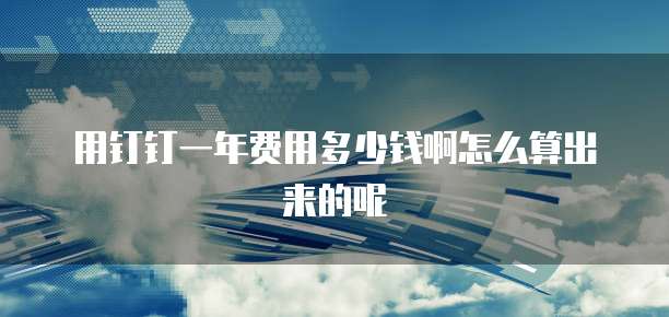 用钉钉一年费用多少钱啊怎么算出来的呢