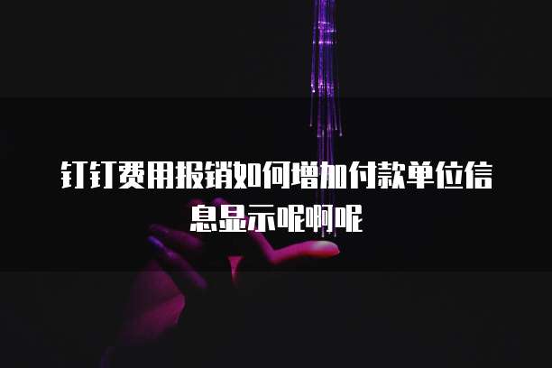 钉钉费用报销如何增加付款单位信息显示呢啊呢