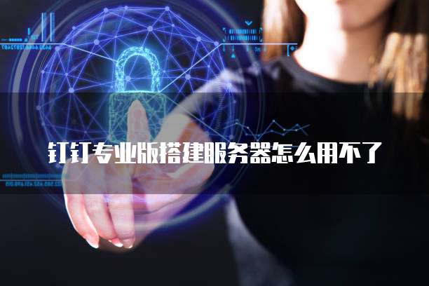 钉钉专业版搭建服务器怎么用不了