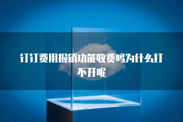 钉钉费用报销功能收费吗为什么打不开呢