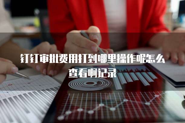钉钉审批费用打到哪里操作呢怎么查看啊记录