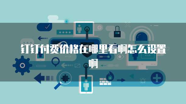 钉钉付费价格在哪里看啊怎么设置啊