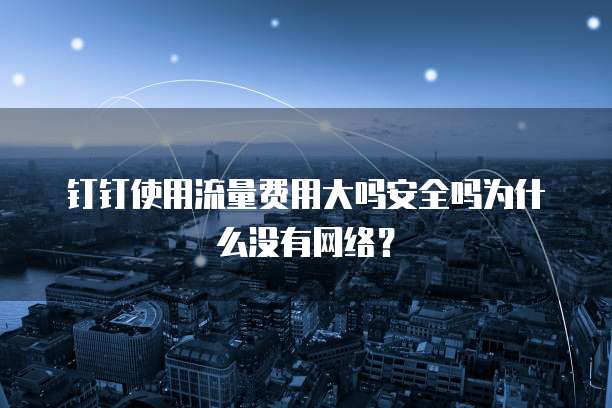 钉钉使用流量费用大吗安全吗为什么没有网络?