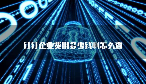 钉钉企业费用多少钱啊怎么查