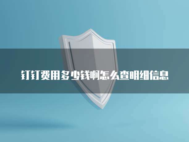 钉钉费用多少钱啊怎么查明细信息