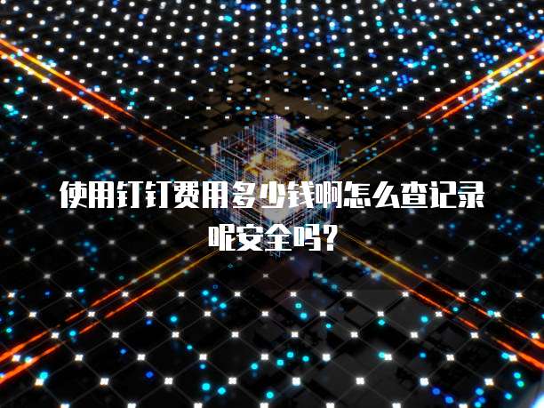 使用钉钉费用多少钱啊怎么查记录呢安全吗?