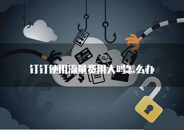 钉钉使用流量费用大吗怎么办