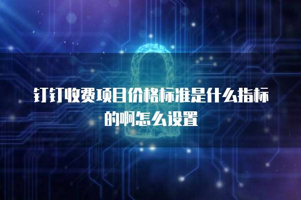 钉钉收费项目价格标准是什么指标的啊怎么设置