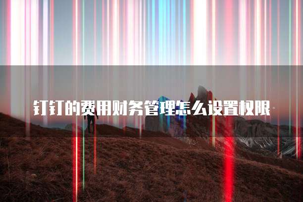 钉钉的费用财务管理怎么设置权限