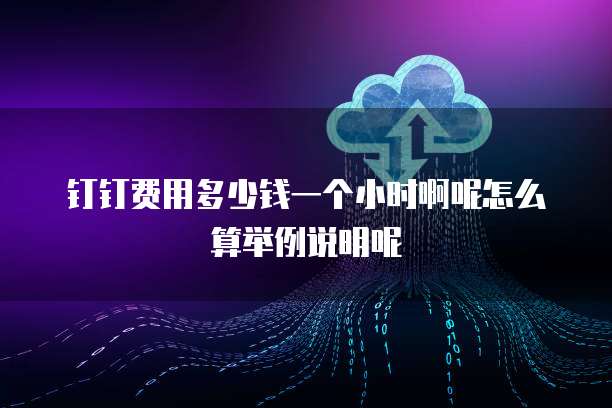 钉钉费用多少钱一个小时啊呢怎么算举例说明呢