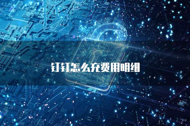 钉钉怎么充费用明细