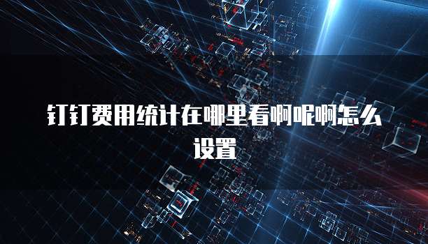 钉钉费用统计在哪里看啊呢啊怎么设置