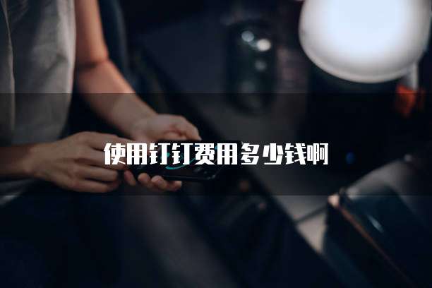 使用钉钉费用多少钱啊