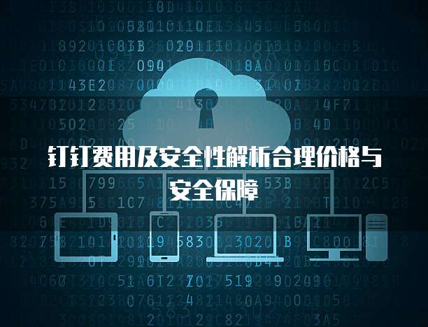 钉钉费用及安全性解析合理价格与安全保障