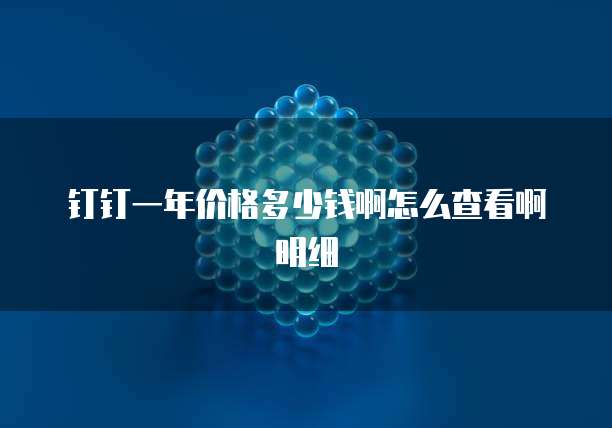 钉钉一年价格多少钱啊怎么查看啊明细