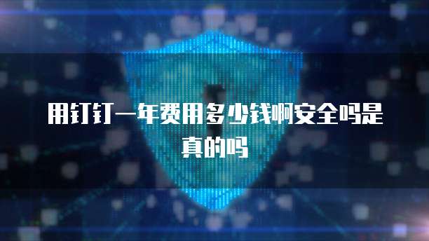 用钉钉一年费用多少钱啊安全吗是真的吗