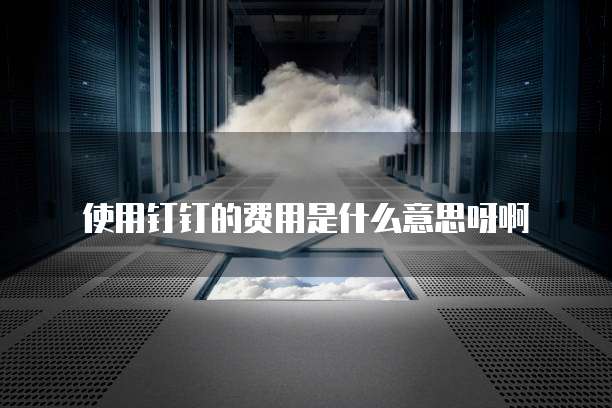 使用钉钉的费用是什么意思呀啊