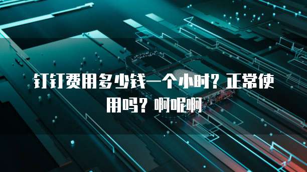 钉钉费用多少钱一个小时?正常使用吗?啊呢啊