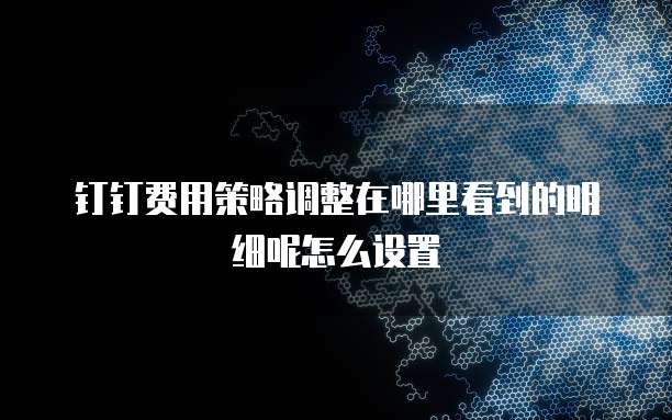 钉钉费用策略调整在哪里看到的明细呢怎么设置