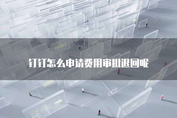 钉钉怎么申请费用审批退回呢