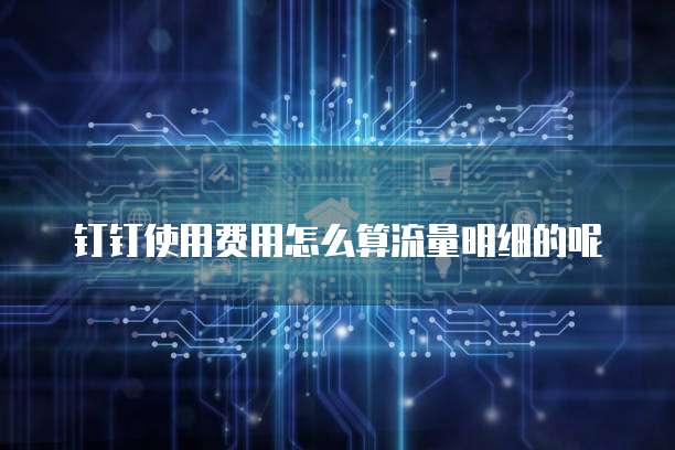 钉钉使用费用怎么算流量明细的呢