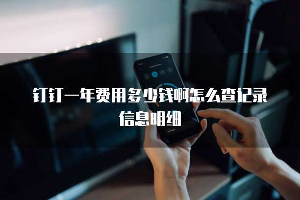 钉钉一年费用多少钱啊怎么查记录信息明细