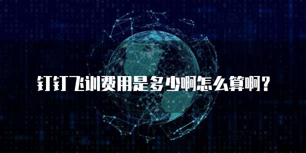 钉钉飞训费用是多少啊怎么算啊?
