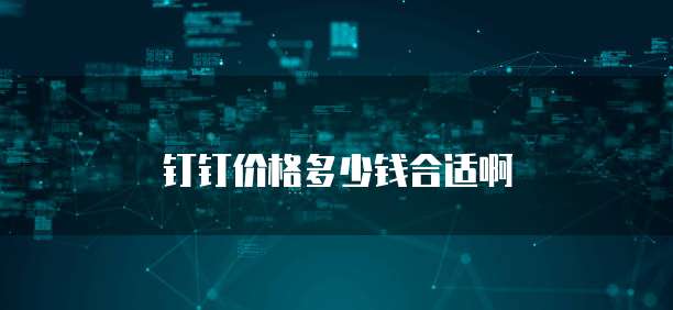 钉钉价格多少钱合适啊