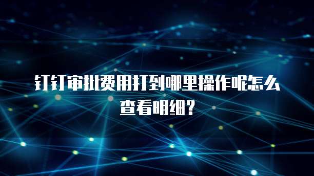 钉钉审批费用打到哪里操作呢怎么查看明细？