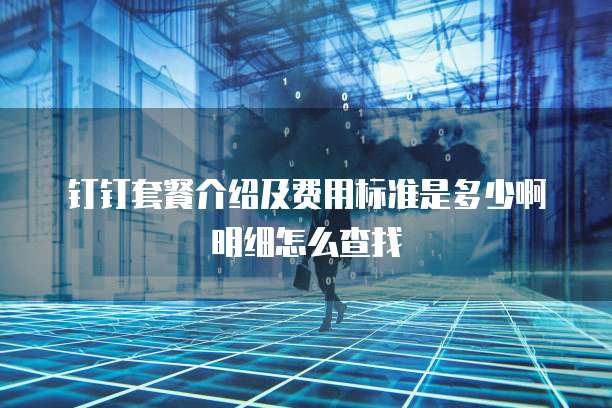 钉钉套餐介绍及费用标准是多少啊明细怎么查找