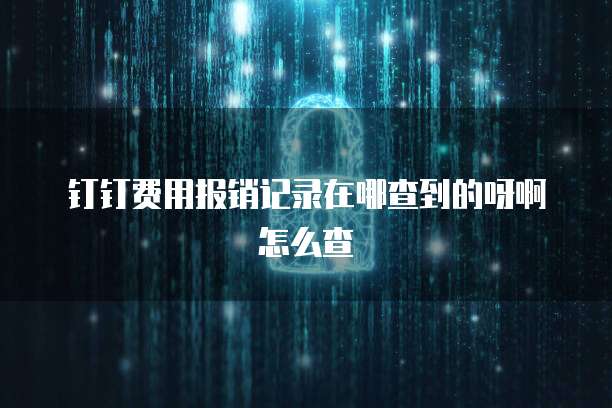 钉钉费用报销记录在哪查到的呀啊怎么查