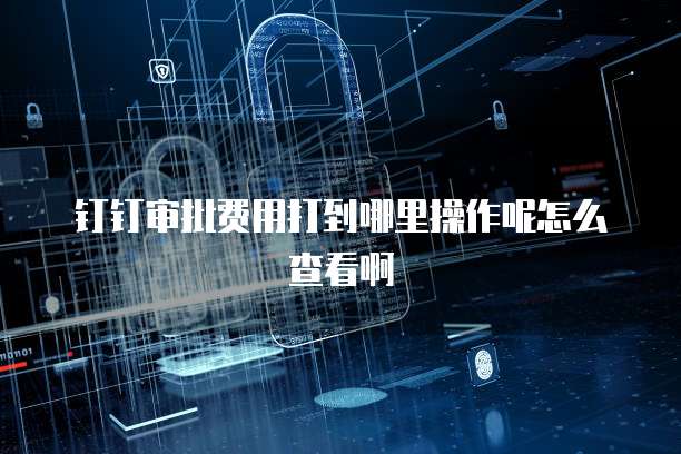 钉钉审批费用打到哪里操作呢怎么查看啊