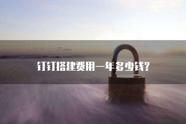钉钉搭建费用一年多少钱?