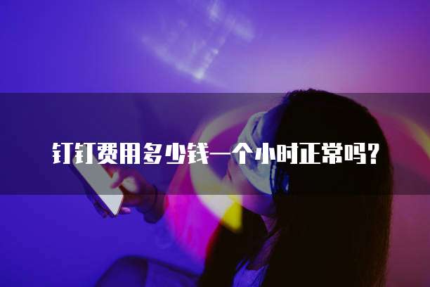 钉钉费用多少钱一个小时正常吗?
