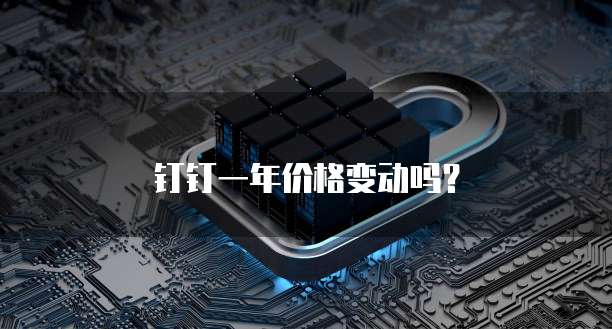 钉钉一年价格变动吗？
